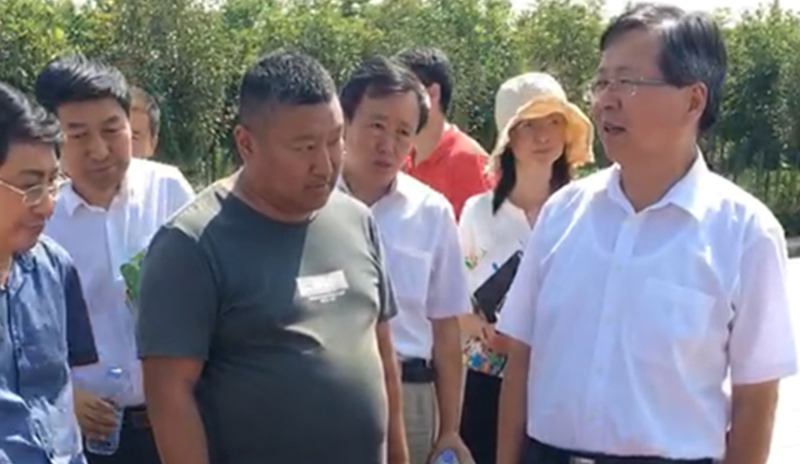 农业部及掌管辅导一路参观了918搏天堂村落厕所刷新产品，，，，，，，并得到了认可